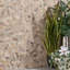 Fossil Hexagon Petrified Stone Mosaic