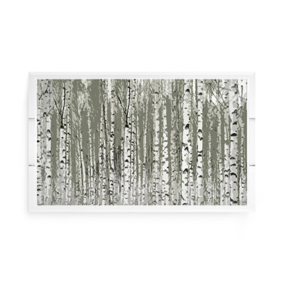 Birch Forest Placemat Set