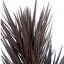 Anlin 155cm Faux Yucca Tree in Pot