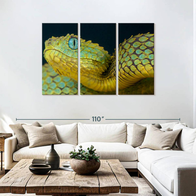 Brampt African Bush Viper, 48" H x 74" W