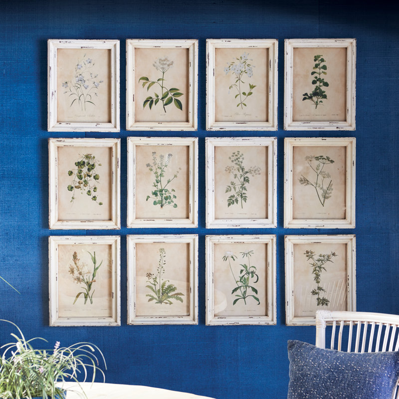 Wild Flower Botanical Set