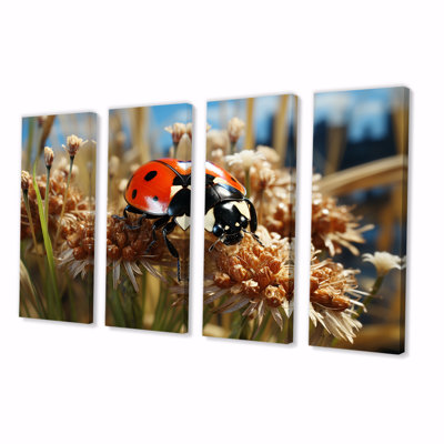 Adventurous Red Ladybug I - Ladybug 4 Piece Wall Art Set