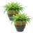 Ailynn Round Imperial Ceramic Outdoor Planter-1857609949-1857609945