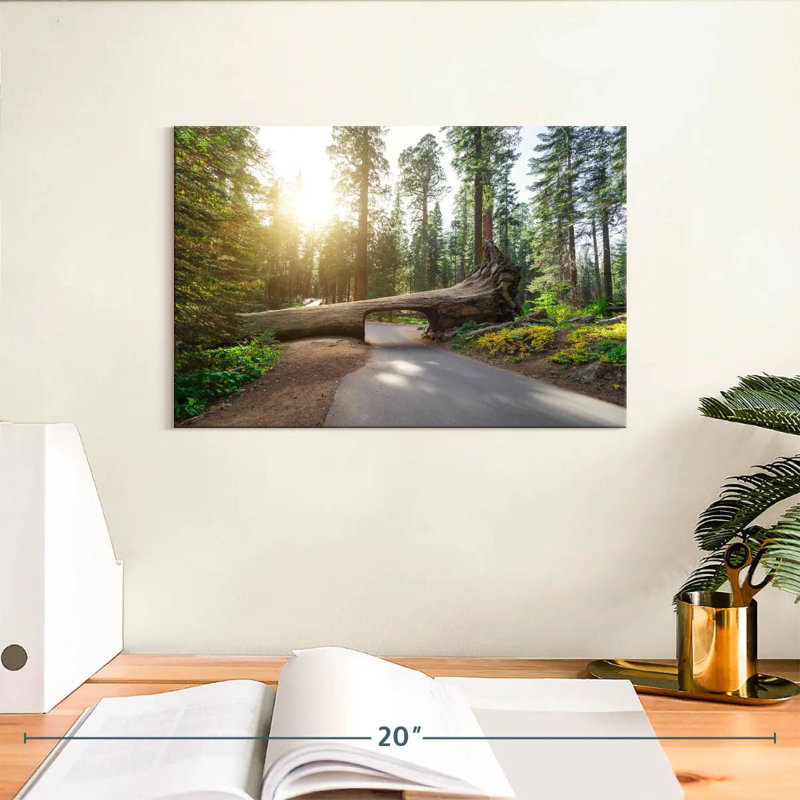 Mehar Sequoia Road Tunnel Road, H 8 po x l 12 po