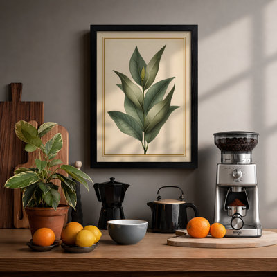 Study Botanical - Framed Print