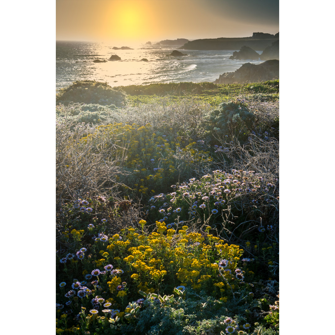 Coastal California von Bill Oxford - Leinwandgemälde