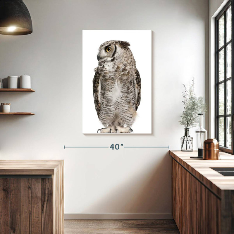 Hibou Brampt regardant de côté, H 39 po x l 26 po