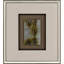 Striation II Framed Art