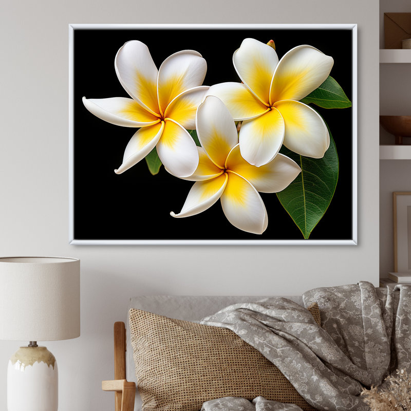 " Dreamscape Plumerias Purity ", 16" H x 32" W x 1" D, White Floater Frame