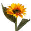 Piquet de jardin Lecy
