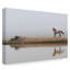 'Mystical Beauty' Photographic Print on Wrapped Canvas-30397107