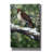 " Red Tailed Hawk " by William Vanderdasson-46182278