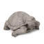 Statue tortue d'extérieur, gris foncé, sans assemblage requis
