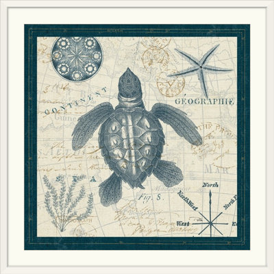 «ocean life vi, impression