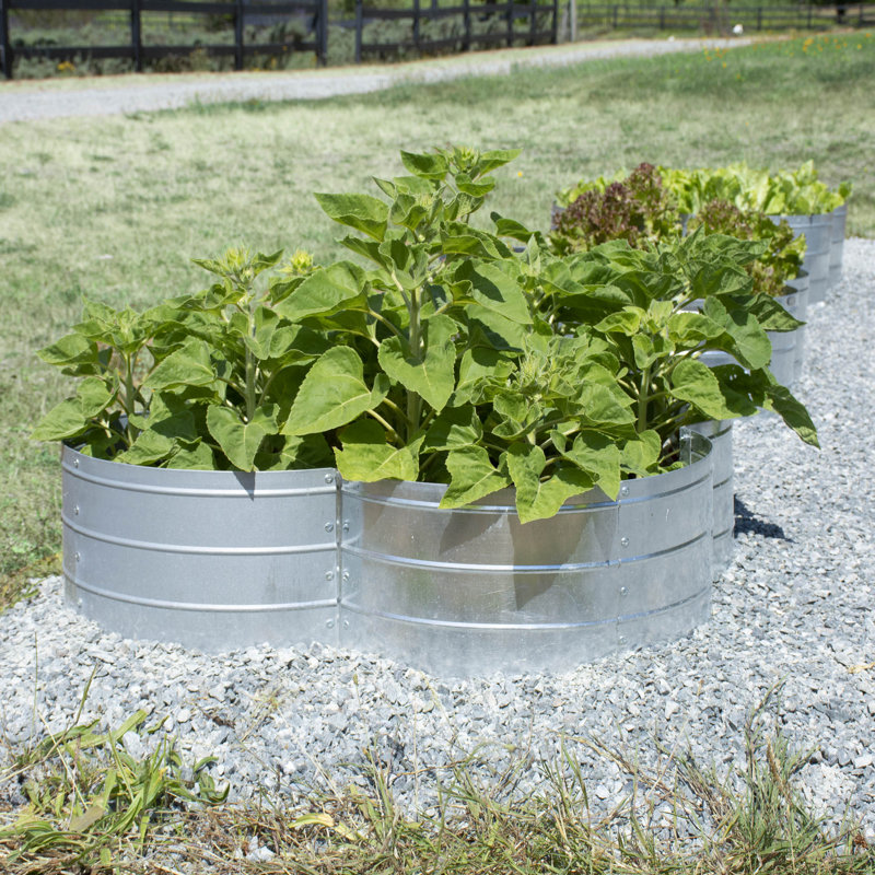 Lit de jardin surélevé 3,5 pi x 3,5 pi