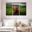 Vache Highland-107937029