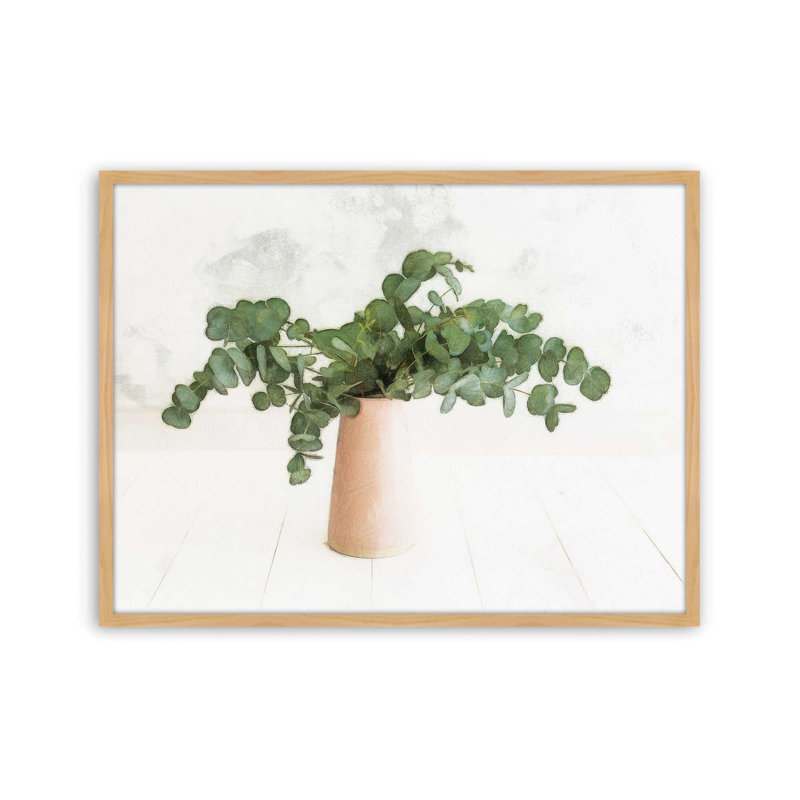 «Eucalyptus Still Life» par Dogwood, L 40 x H 30, Tanné, Impression encadrée