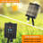 Solar Luminary & Pathway Lights-1452711739