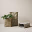 Beige pré