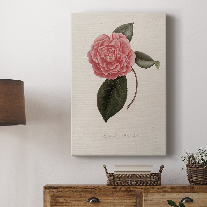 Imprimé floral rétro CXLI - galerie enveloppée Cavas, H 18 po x l 12 po