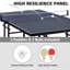 Ensemble de table de ping-pong pliable et portable 9 pi DOUBLE Fish