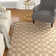 Childers Hand Hooked Performance Southwestern Rug