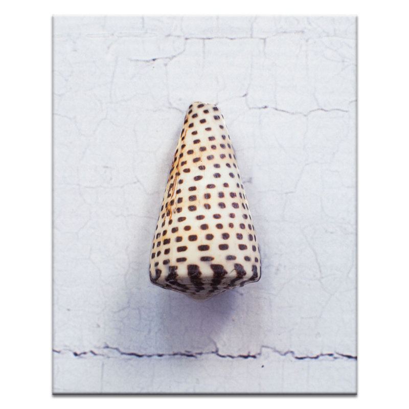 Wrapped Canvas Print, 51 cm H x 41 cm W