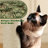 Siegfried Multi-Level Cat Tree-1642784910