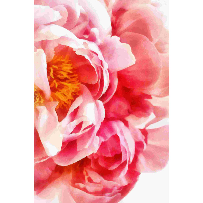 Pivoine rose peinte par - on, H 18 po x l 12 po
