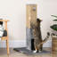 79 cm H Cat Tree / Condo