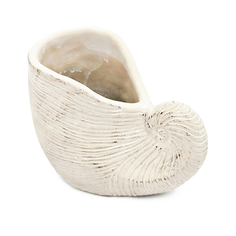 Textured Beige 8.5X5.5X6.3 Inches Sand And Cement Shell Planter, Suitable For Hyacinth Planting Planter With Surface, Great Displays
