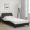 Base de lit vidaXL Dover noir 100 x 190 cm