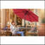 Parasol de table 10 pi
