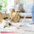 True & Tidy 2-Piece Lint Roller Refill