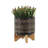 S/2 5/8" GLAZED PLANTER W/ STAND, BLACK