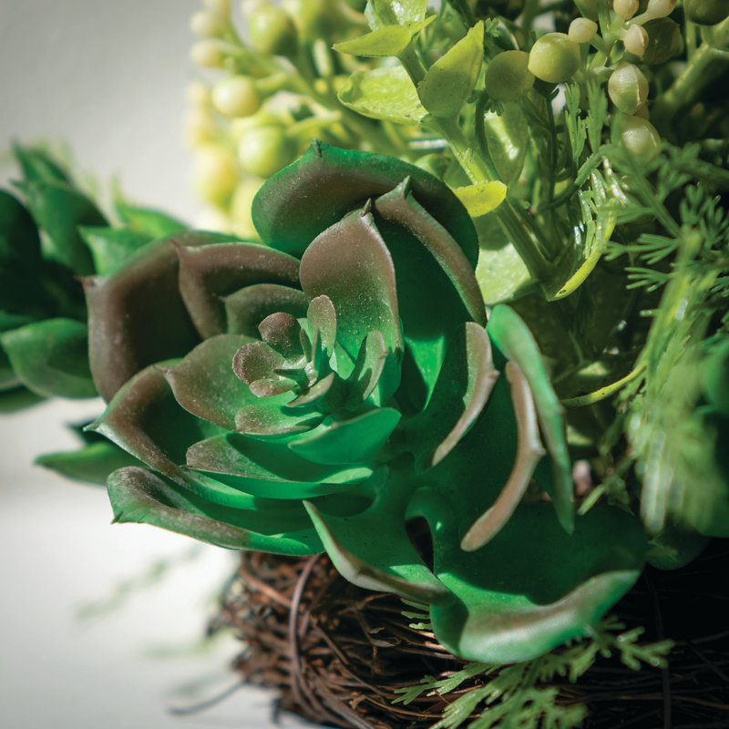 Succulent demi-orb