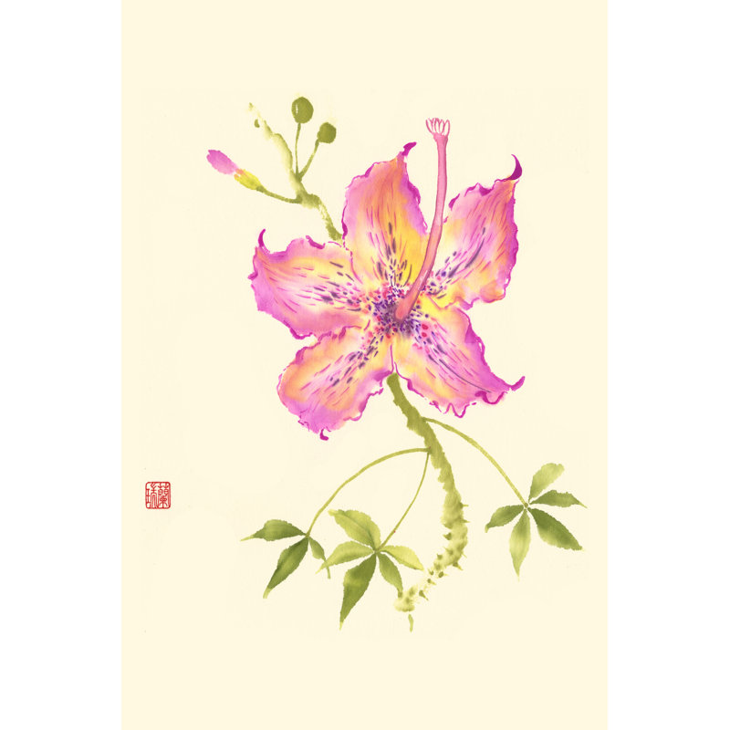 Hibiscus Flower IV by Nan Rae - Wrapped Canvas Print, 122cm H x 81cm W