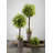 5.5'' Faux Smilax Orb
