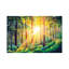 Beautiful Sunny Forest Landscape. by Valery Rybakow - Wrapped Canvas Painting-882443705