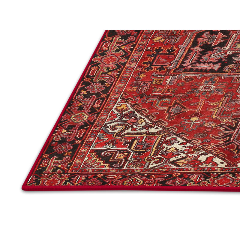 Tapis à motif oriental rouge / noir, Rectangle 6 pi x 9 pi