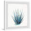 « agave ii », reproduction encadrée-26600952