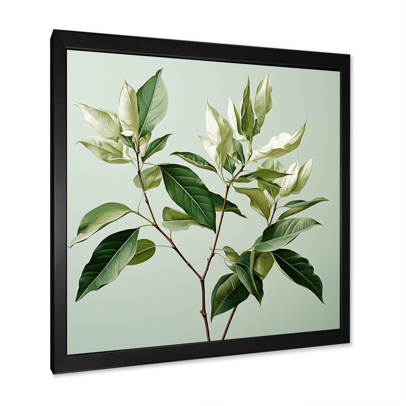 Menthe fraîche, minimalisme, feuilles, sérénité, Cadre simple noir, H 24 po x l 24 po x P 1 po