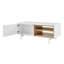 Ikram Storage Coffee Table