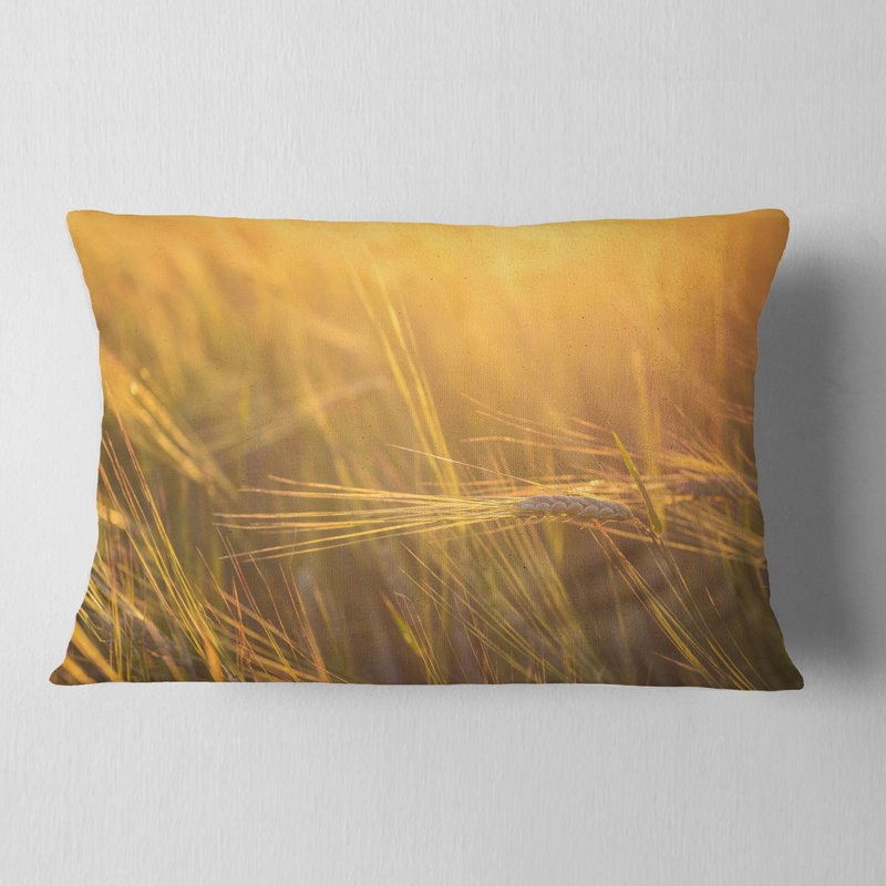 Coussin lombaire avec champ de blé
