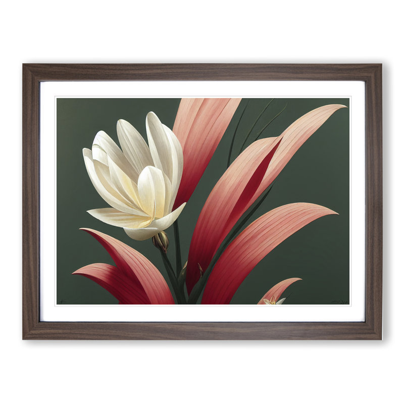 Extraordinary Flower - Single Picture Frame Print, 46cm H x 64cm W x 2cm D, Walnut