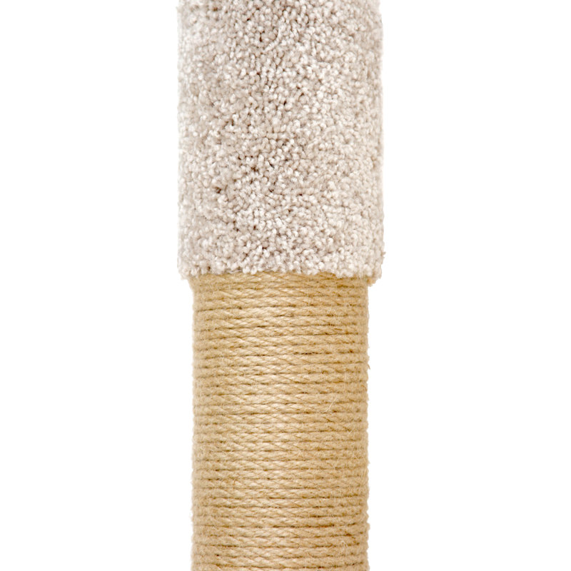 Scratching Post
