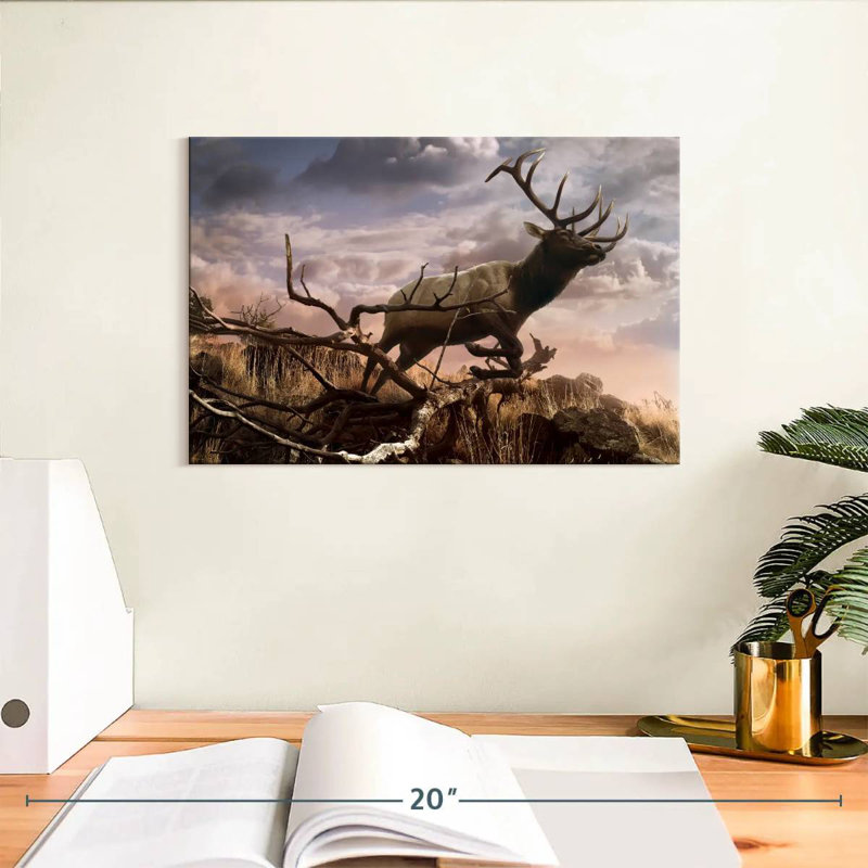 Brampt Elk Adventure, 8" H x 12" W