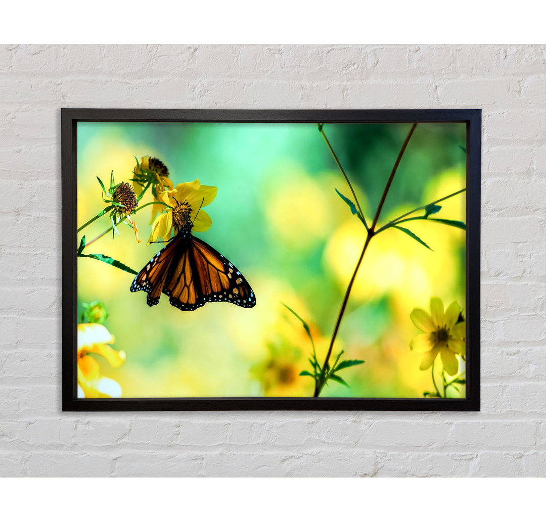 Monarch Schmetterling auf einer gelben Blume - Einzelner Bilderrahmen Kunstdrucke auf Leinwand