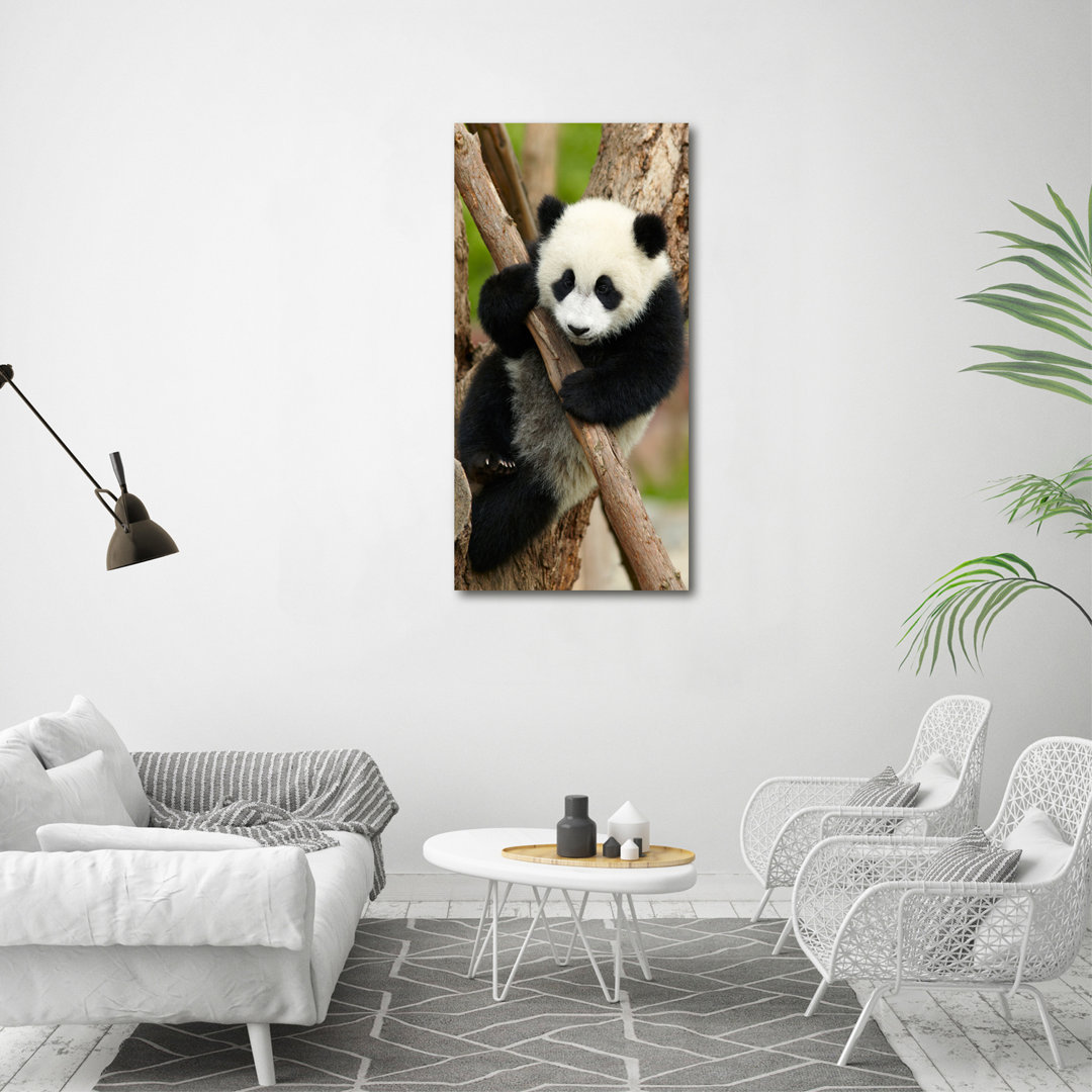 Truro Panda auf dem Baum - Kunstdrucke auf Leinwand