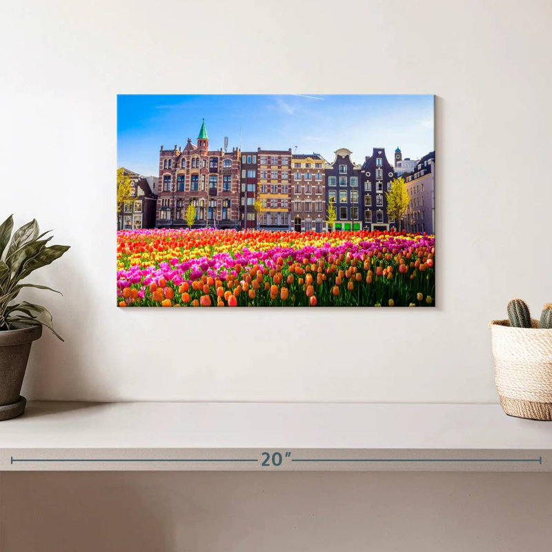 Nicci Amsterdam Tulips, H 8 po x l 12 po